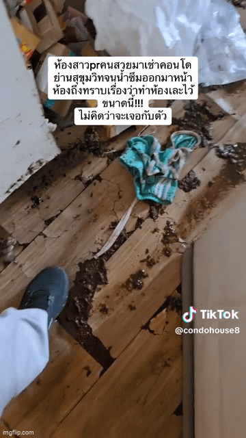 Cho cô gái thuê nhà, 1 thời gian sau người đàn ông đến kiểm tra thì chứng kiến cảnh tượng hãi hùng- Ảnh 1. Cho cô gái thuê nhà, 1 thời gian sau người đàn ông đến kiểm tra thì chứng kiến cảnh tượng hãi hùng- Ảnh 1.