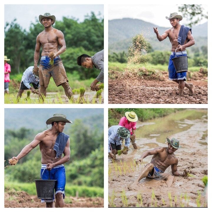 Thánh Muay Thái Lan giàu có nhưng thích lội bùn trồng lúa như nông dân- Ảnh 1. Thánh Muay Thái Lan giàu có nhưng thích lội bùn trồng lúa như nông dân- Ảnh 1.