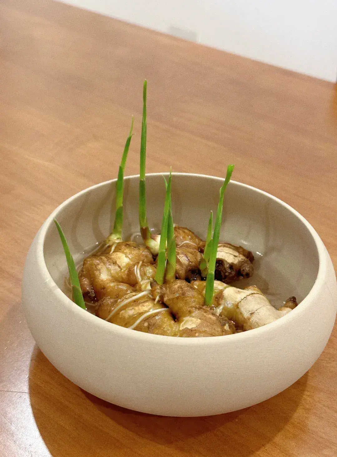 Người phụ nữ xinh đẹp nổi tiếng với cách trồng "gừng thủy canh" trong phòng khách, được cư dân mạng hết lời khen ngợi- Ảnh 8. Người phụ nữ xinh đẹp nổi tiếng với cách trồng "gừng thủy canh" trong phòng khách, được cư dân mạng hết lời khen ngợi- Ảnh 8.