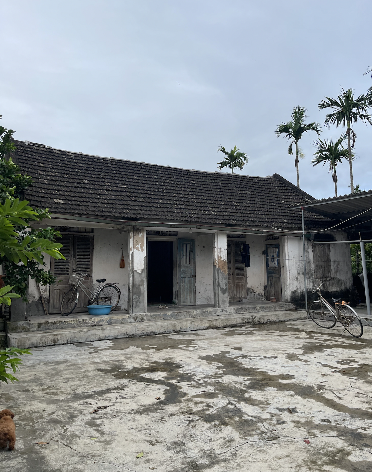 Lần đầu ra mắt thấy bạn trai ở nhà cấp 4 xập xệ, cô gái quyết định "đánh đổi" sau kết hôn và cái kết- Ảnh 1. Lần đầu ra mắt thấy bạn trai ở nhà cấp 4 xập xệ, cô gái quyết định "đánh đổi" sau kết hôn và cái kết- Ảnh 1.